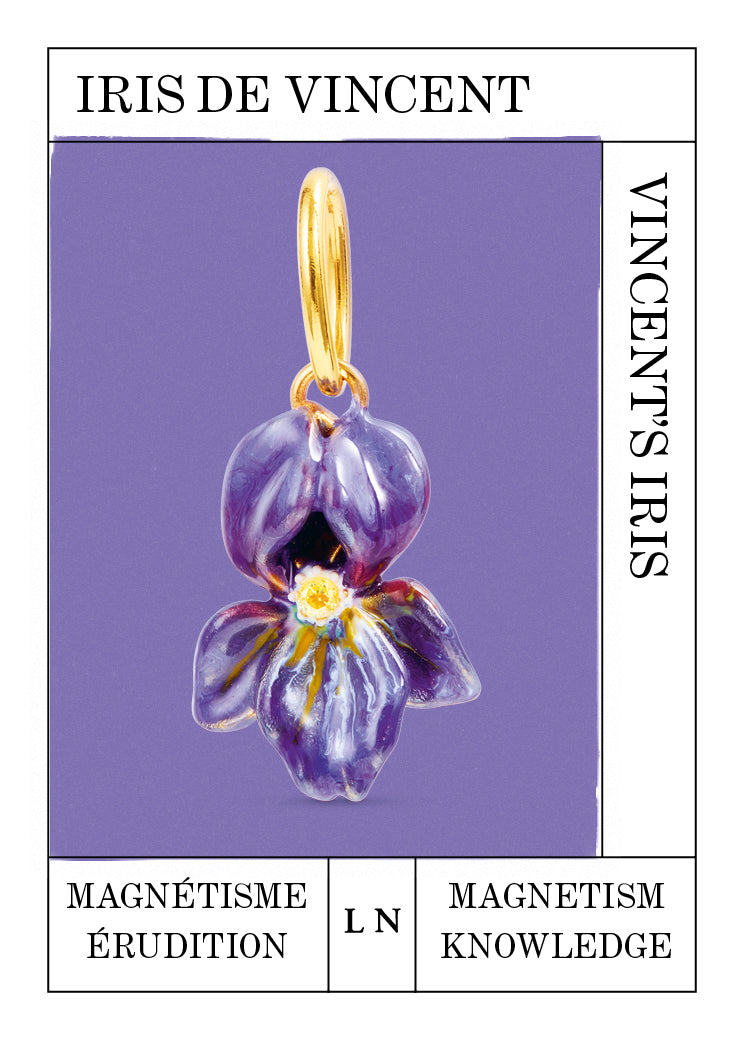 Pendentif Iris de Vincent, Magnêtisme et Érudition