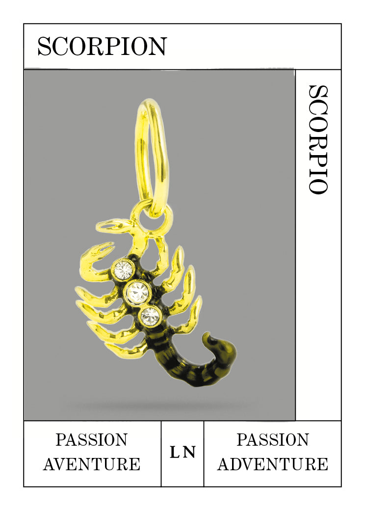 Pendentif Scorpion, Passion et Aventure