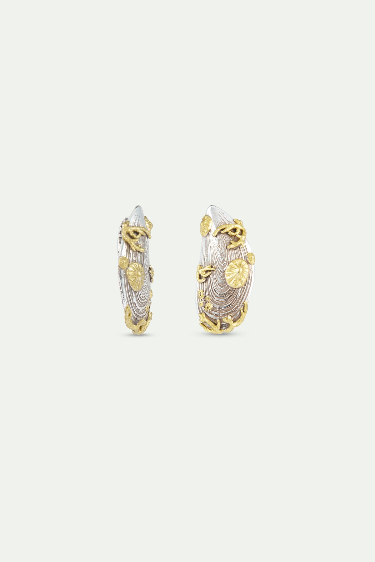 Pendientes mejillón plateado y dorado