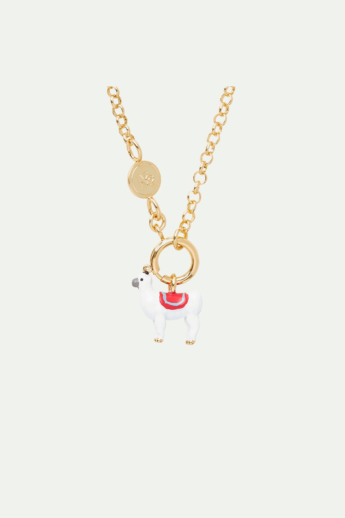 Charm's Llama