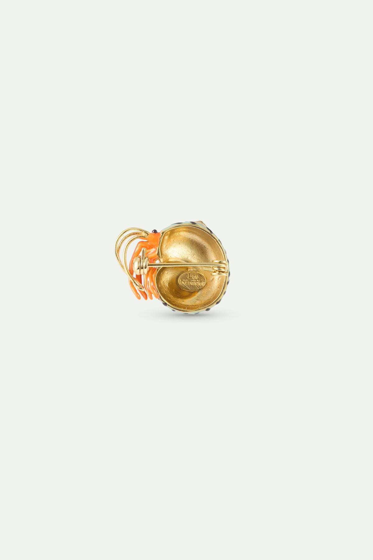 Broche bernard l'hermite vert et orange