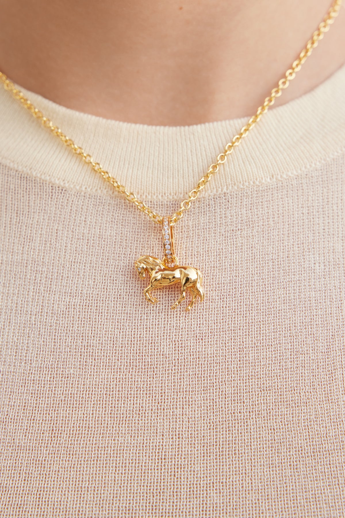 Pendentif Cheval doré, Passion et Curiosité